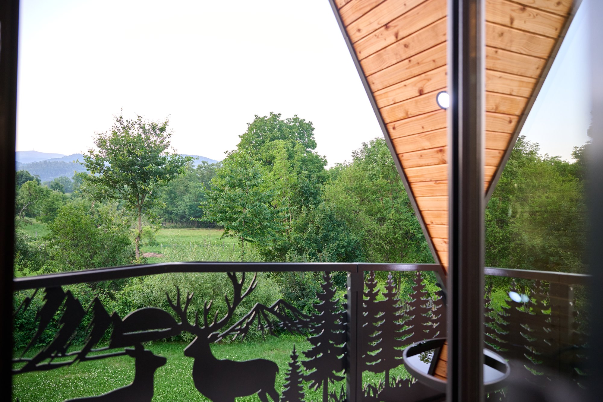 Vedere de pe balcon